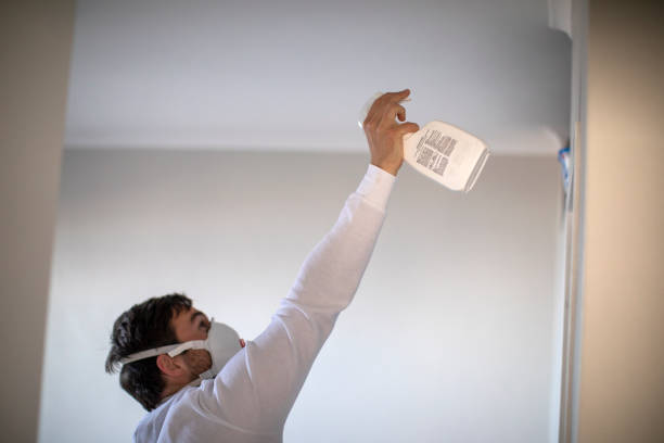 Best Best Mold Removal Companies  in Brownfield, TX
