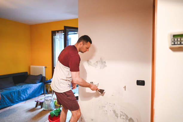 Best Mold Removal and Inspection  in Brownfield, TX